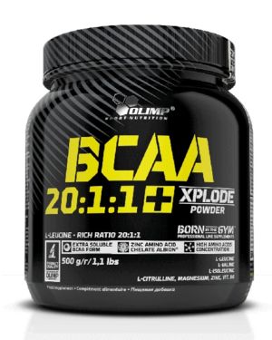BCAA 20.1.1 500GR