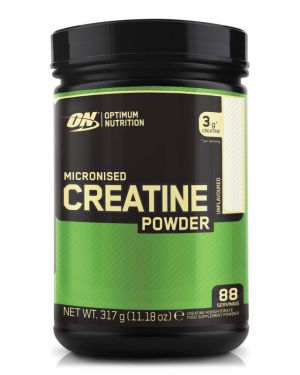 ON CREATINE POWDER 317GR